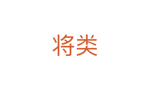 将类