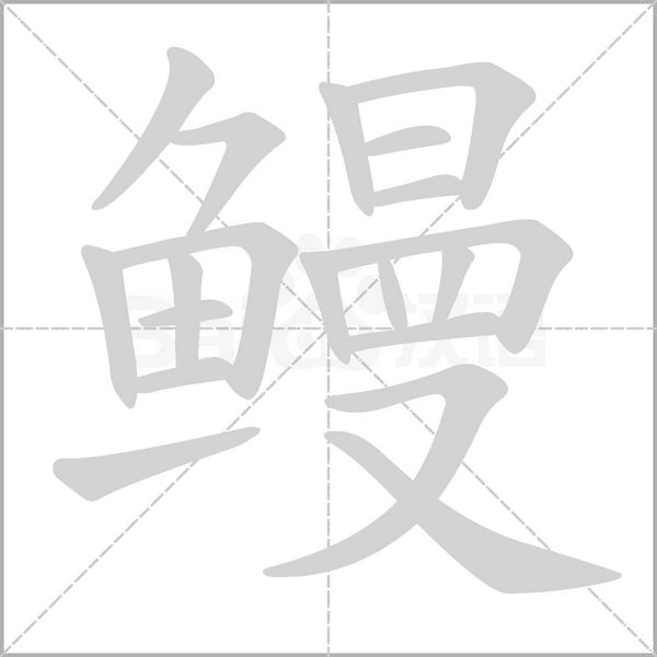 鳗的笔顺动画演示